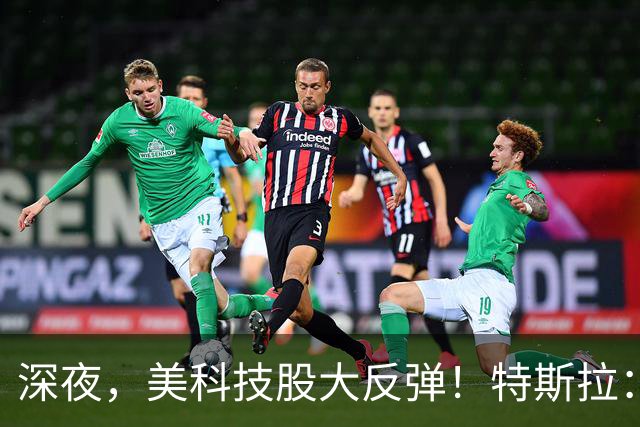 深夜，美科技股大反弹！特斯拉：马斯克去年实际薪酬为“0”！