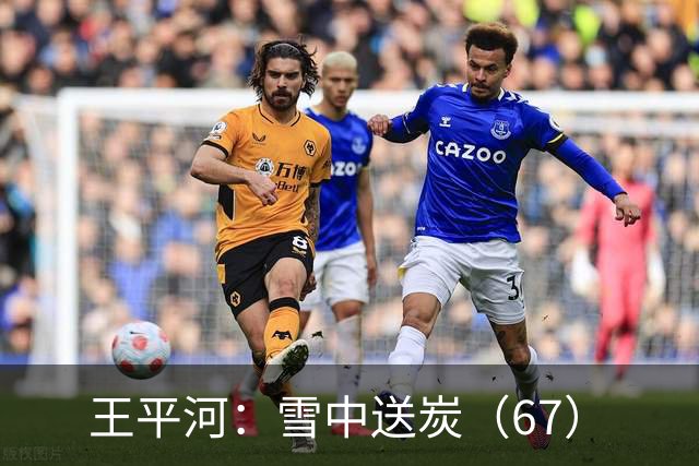王平河：雪中送炭（6/7）
