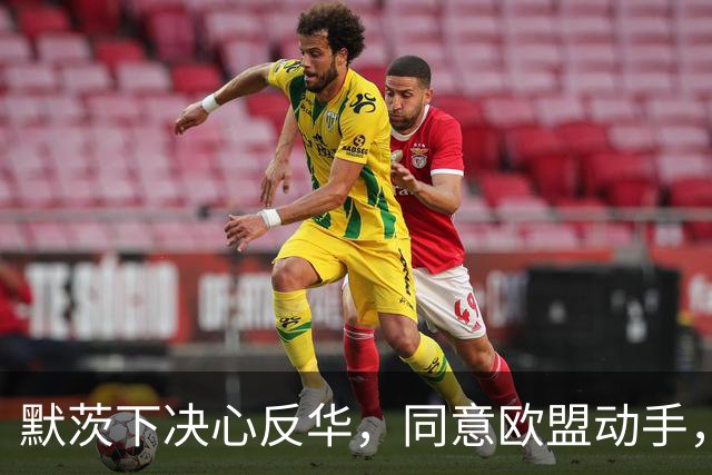默茨下决心反华，同意欧盟动手，宁愿不要对华贸易，也要中国难受